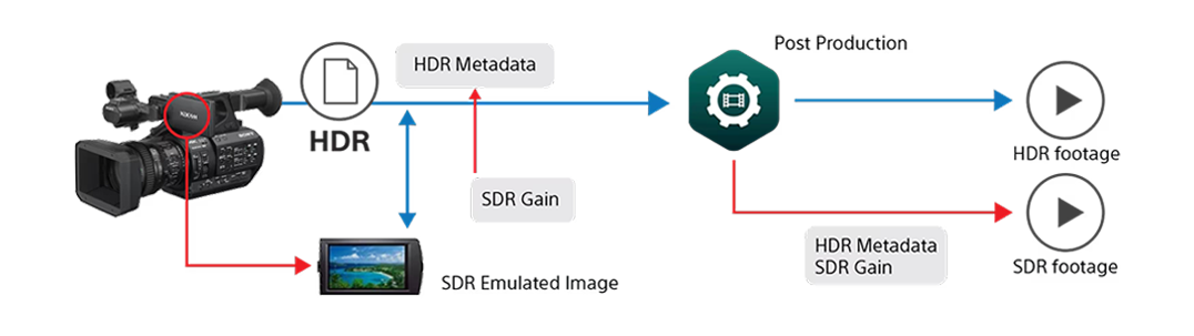 1716777373886729.png 05.png